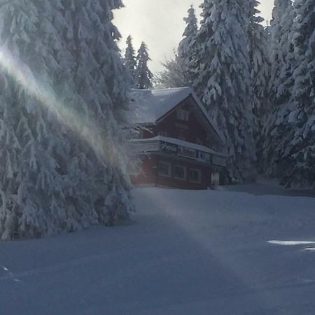 Auerhahn Feldberg (Baden-Wurttemberg) Exterior foto