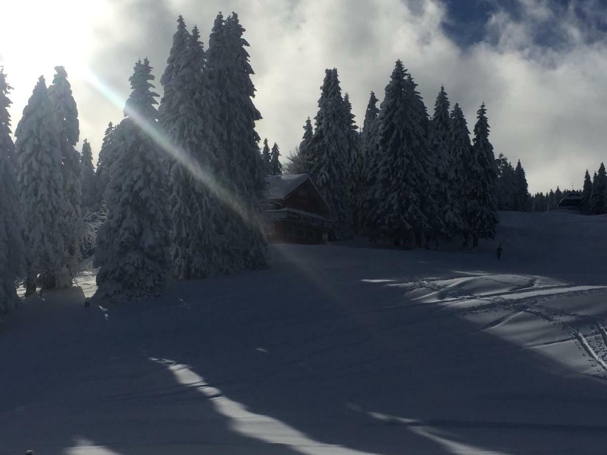 Auerhahn Feldberg (Baden-Wurttemberg) Exterior foto