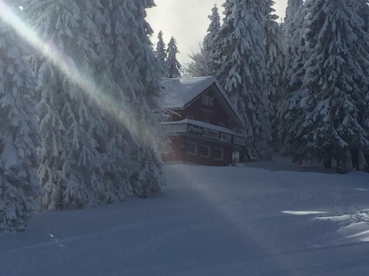 Auerhahn Feldberg (Baden-Wurttemberg) Exterior foto